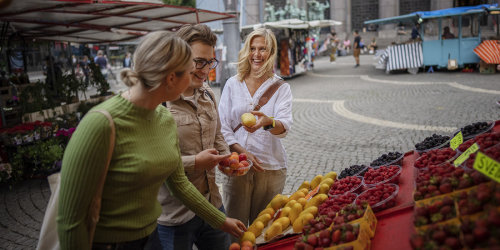 Har Du Brug For Hjaelp Til Okonomien
